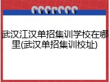 武汉江汉单招集训学校在哪里(武汉单招集训校址)