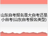 山东自考报名是大自考还是小自考(山东自考报名类型)