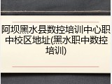 阿坝黑水县数控培训中心职中校区地址(黑水职中数控培训)