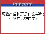 母猪产后护理是什么学科(母猪产后护理学)