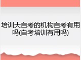 培训大自考的机构自考有用吗(自考培训有用吗)