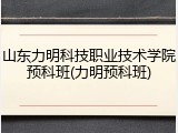 山东力明科技职业技术学院预科班(力明预科班)
