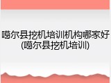 噶尔县挖机培训机构哪家好(噶尔县挖机培训)