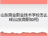 山东商业职业技术学校怎么样(山东商职如何)