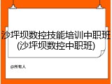 沙坪坝数控技能培训中职班(沙坪坝数控中职班)