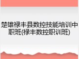 楚雄禄丰县数控技能培训中职班(禄丰数控职训班)