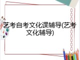 艺考自考文化课辅导(艺考文化辅导)