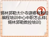 锡林郭勒太仆寺旗哪有数控编程培训中心中职怎么样(锡林郭勒数控培训)