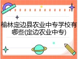 榆林定边县农业中专学校有哪些(定边农业中专)