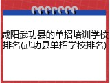 咸阳武功县的单招培训学校排名(武功县单招学校排名)