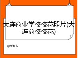 大连商业学校校花照片(大连商校校花)
