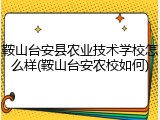 鞍山台安县农业技术学校怎么样(鞍山台安农校如何)