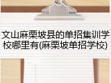 文山麻栗坡县的单招集训学校哪里有(麻栗坡单招学校)