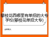攀枝花西哪里有单招的大专学校(攀枝花单招大专)