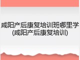 咸阳产后康复培训班哪里学(咸阳产后康复培训)