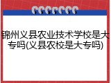 锦州义县农业技术学校是大专吗(义县农校是大专吗)