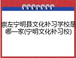 崇左宁明县文化补习学校是哪一家(宁明文化补习校)