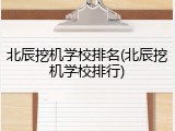 北辰挖机学校排名(北辰挖机学校排行)
