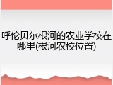 呼伦贝尔根河的农业学校在哪里(根河农校位置)
