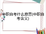 中职自考什么意思(中职自考含义)