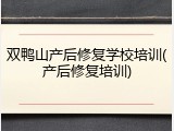 双鸭山产后修复学校培训(产后修复培训)