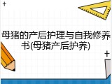 母猪的产后护理与自我修养书(母猪产后护养)