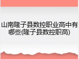 山南隆子县数控职业高中有哪些(隆子县数控职高)