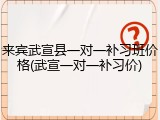 来宾武宣县一对一补习班价格(武宣一对一补习价)
