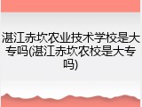 湛江赤坎农业技术学校是大专吗(湛江赤坎农校是大专吗)
