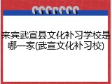 来宾武宣县文化补习学校是哪一家(武宣文化补习校)