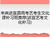 来宾武宣县高考艺考生文化课补习班推荐(武宣艺考文化补习)