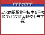 武汉商贸职业学校中专学费多少(武汉商贸职校中专学费)