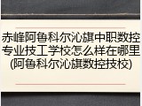 赤峰阿鲁科尔沁旗中职数控专业技工学校怎么样在哪里(阿鲁科尔沁旗数控技校)