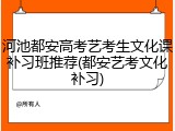 河池都安高考艺考生文化课补习班推荐(都安艺考文化补习)