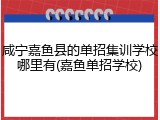 咸宁嘉鱼县的单招集训学校哪里有(嘉鱼单招学校)
