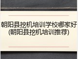 朝阳县挖机培训学校哪家好(朝阳县挖机培训推荐)