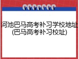 河池巴马高考补习学校地址(巴马高考补习校址)
