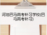河池巴马高考补习学校(巴马高考补习)