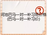河池巴马一对一补习班价格(巴马一对一补习价)