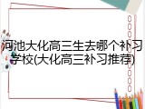河池大化高三生去哪个补习学校(大化高三补习推荐)