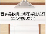 西乡县挖机上哪里学比较好(西乡挖机培训)
