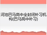河池巴马高中全封闭补习机构(巴马高中补习)