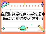 合肥财经学校商业学校招生简章(合肥财校商校招生)