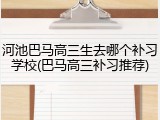 河池巴马高三生去哪个补习学校(巴马高三补习推荐)