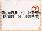 河池南丹县一对一补习班价格(南丹一对一补习费用)