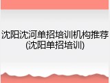 沈阳沈河单招培训机构推荐(沈阳单招培训)