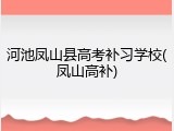 河池凤山县高考补习学校(凤山高补)