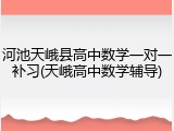 河池天峨县高中数学一对一补习(天峨高中数学辅导)