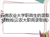 云南农业大学职高生的录取分数线(云农大职高录取线)