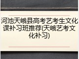 河池天峨县高考艺考生文化课补习班推荐(天峨艺考文化补习)